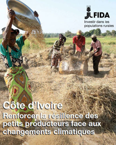 Activite de renforcement de la commercialisation agricole en